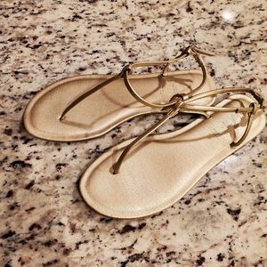 Flats summer sandals loft ann taylor